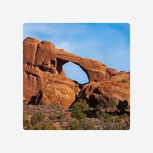 Anchorage Parking Credit - $250