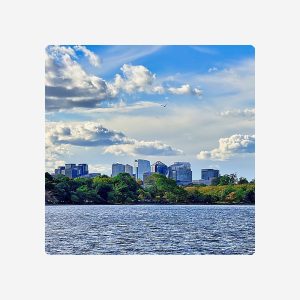 Arlington Parking Credit - $500